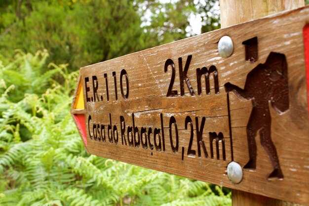 Проверка номера рамы по базе данных ГИБДД