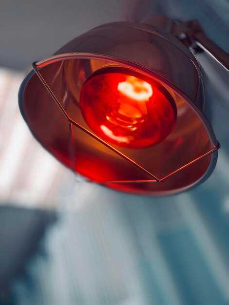 Профилактические меры для предотвращения проблем с токсичностью