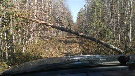 Снятие старой механической трансмиссии