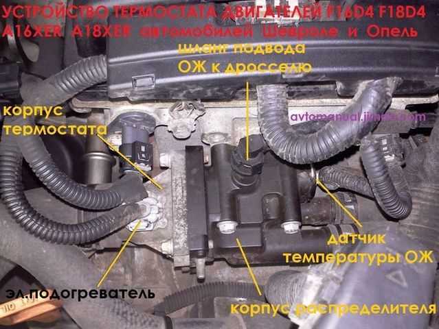 Рекомендации по уходу за опорами
