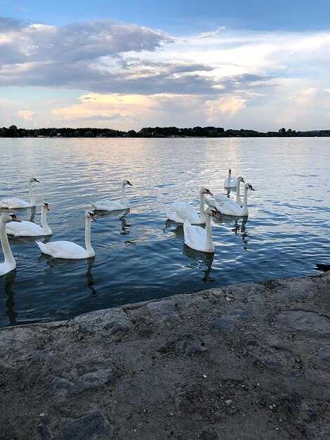 Состояние вакуумной системы и утечки